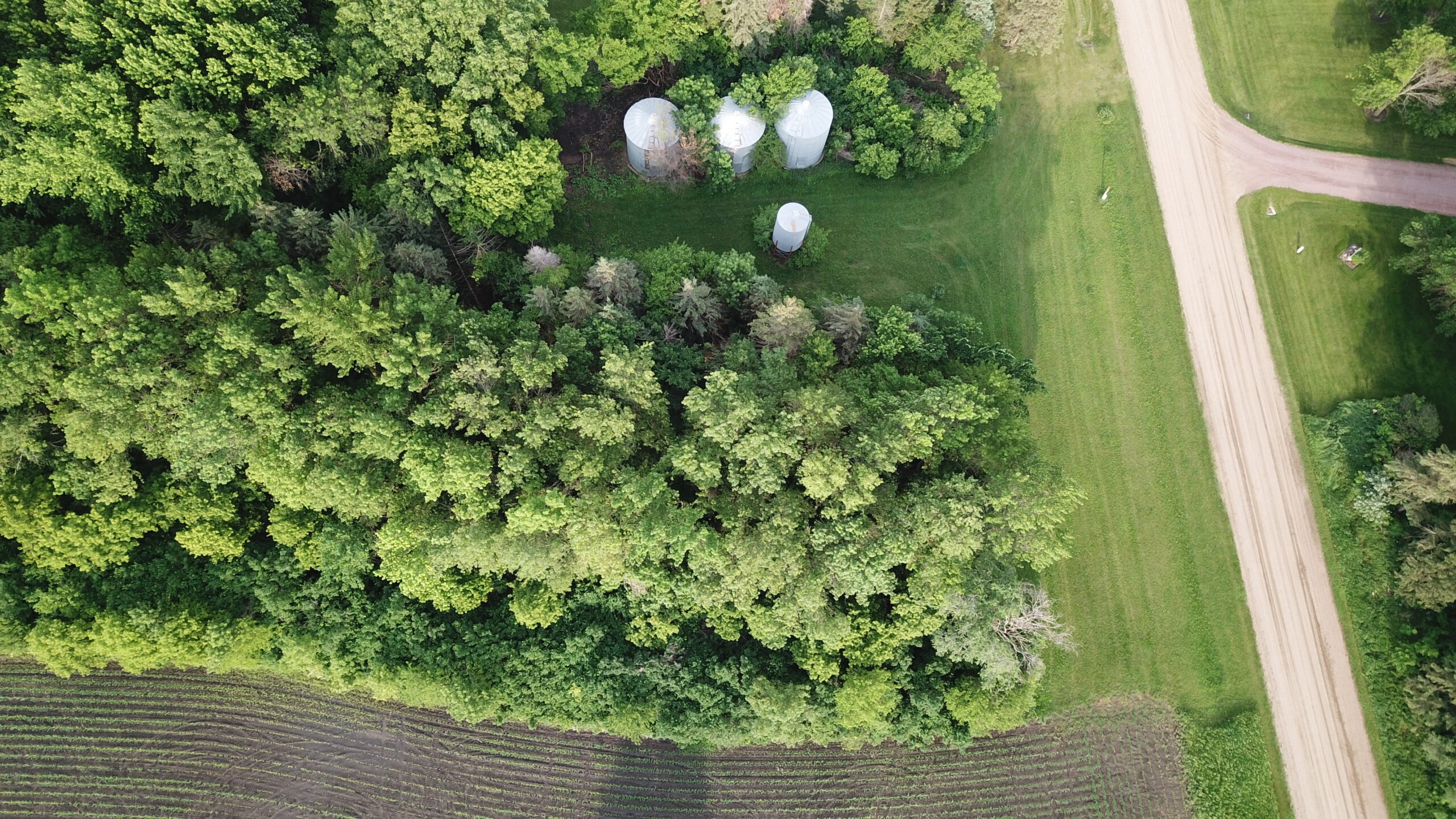 Sold! Bare Farmland Auction in Watonwan Co., MN Land Services Unlimited