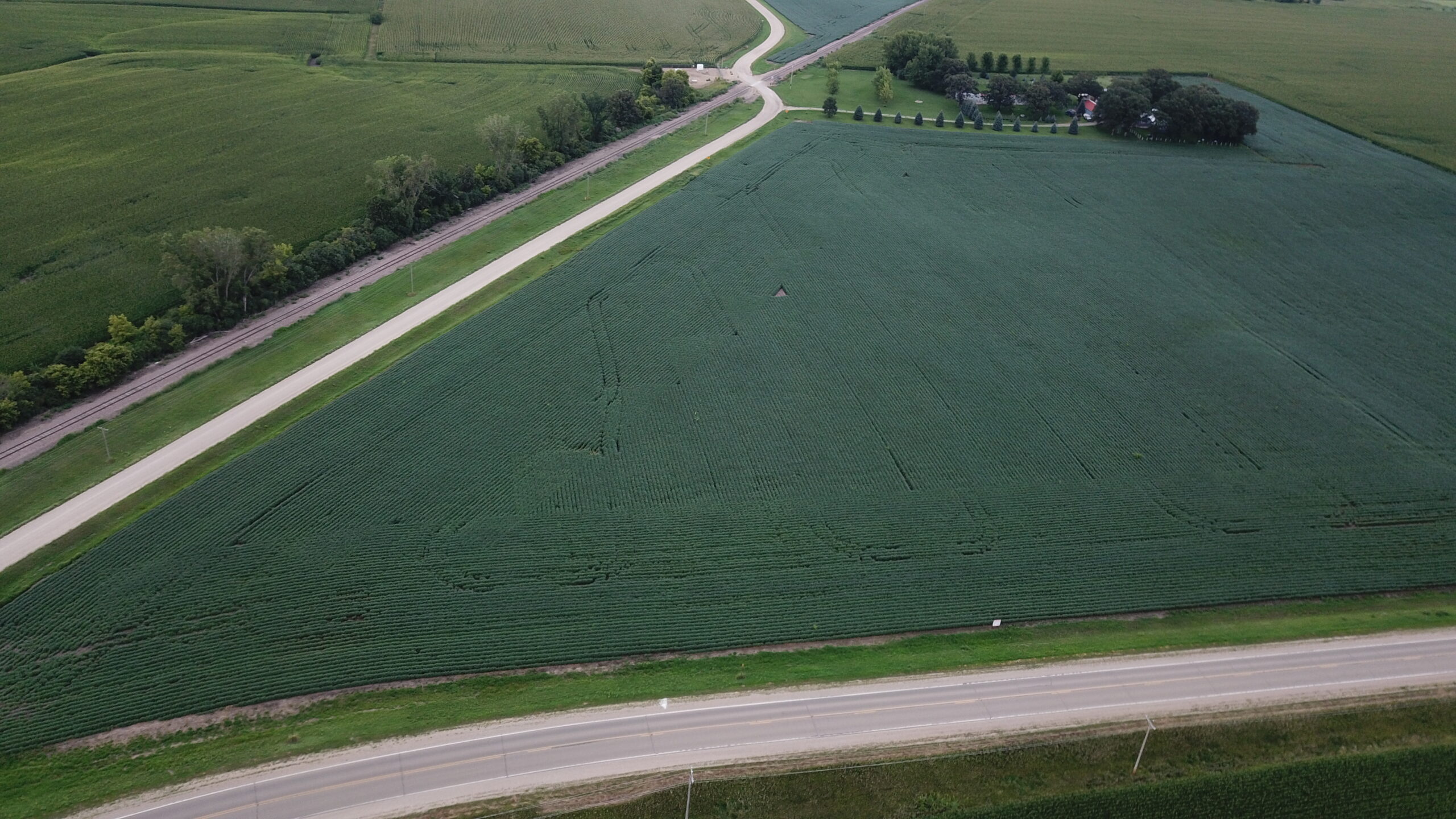 Sold! Bare Farmland Auction in Faribault Co., MN Land Services Unlimited