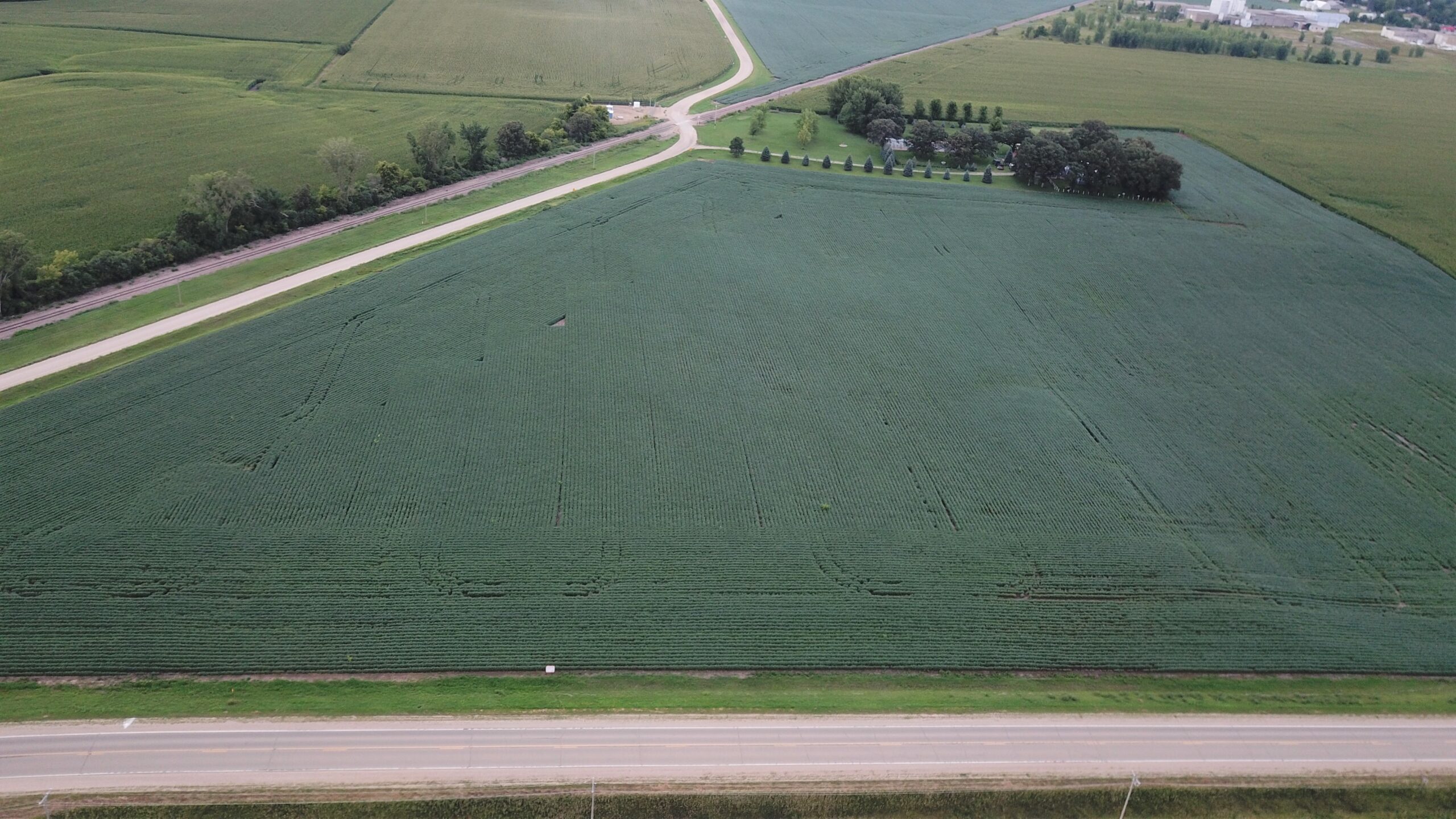Sold! Bare Farmland Auction in Faribault Co., MN Land Services Unlimited