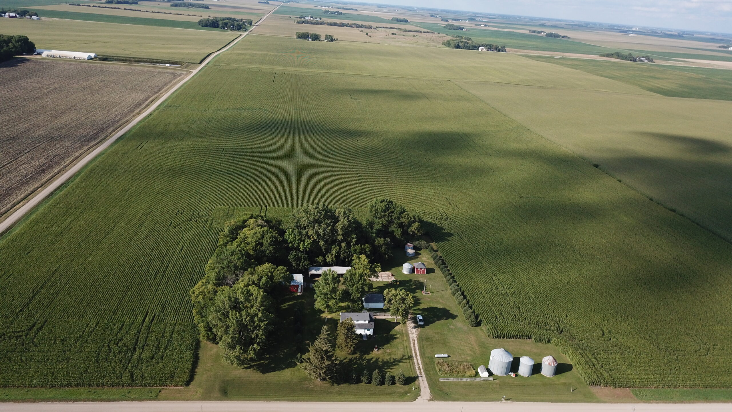 SOLD! Farmland & Building Site Auction in Watonwan County, MN Land
