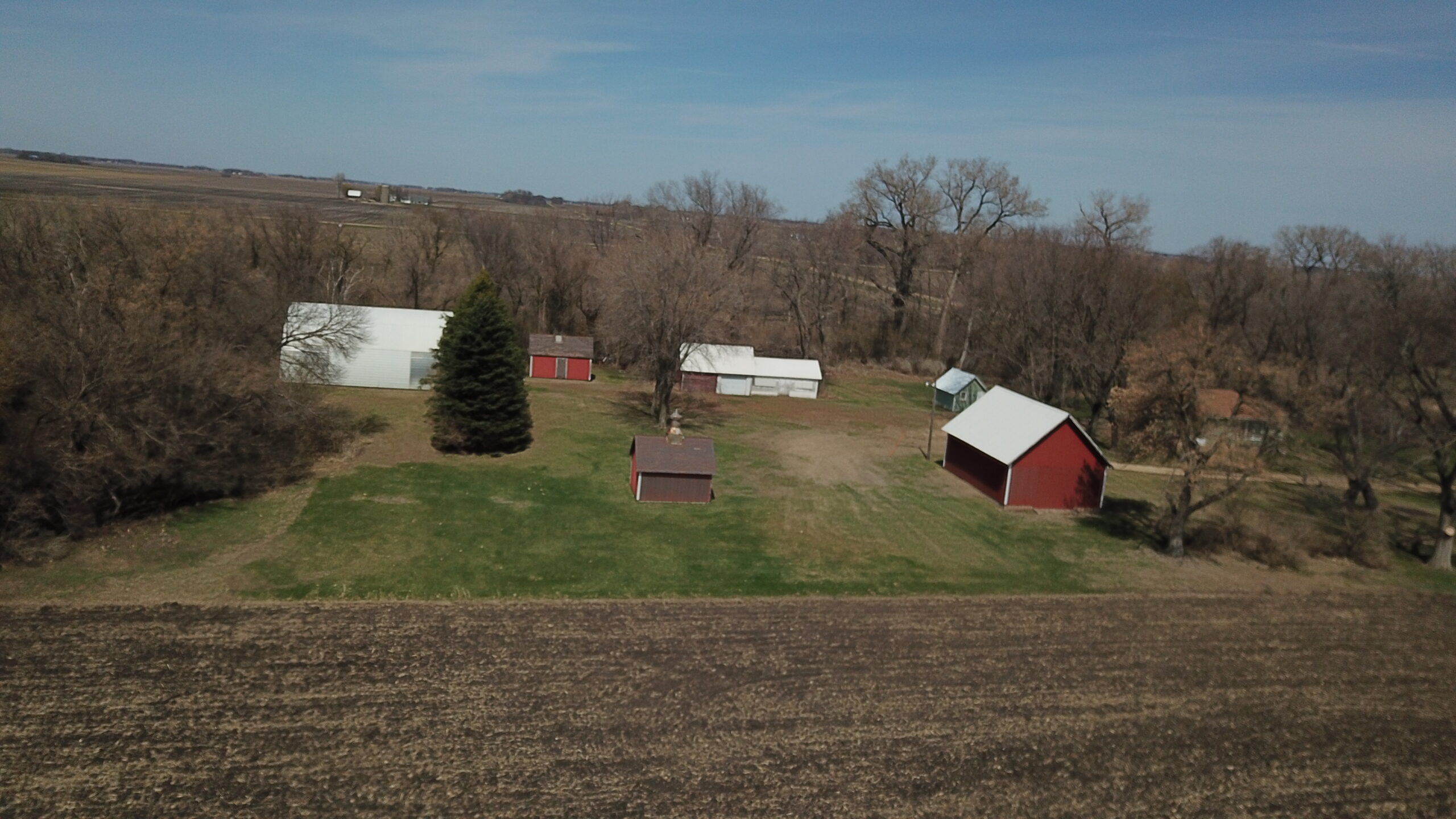 SOLD! Farmland & Building Site Auction in Martin Co., MN Land